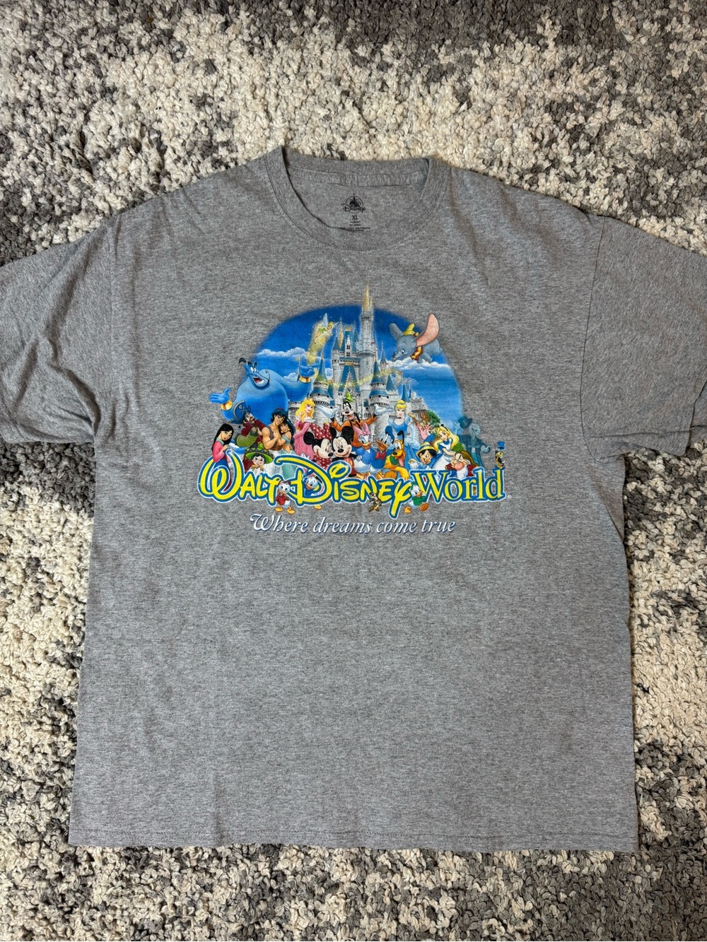 Walt Disney World, Castle with Mickey & Friends Graphic Tee in Heather Gray, XL